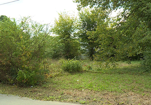 beatification project